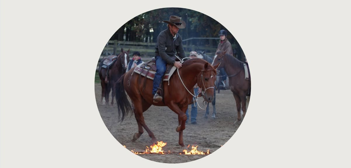 JOE TURNER - horsemanship & koń bomboodporny